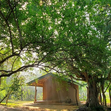 Clay Hut Village ポロンナルワ エクステリア 写真