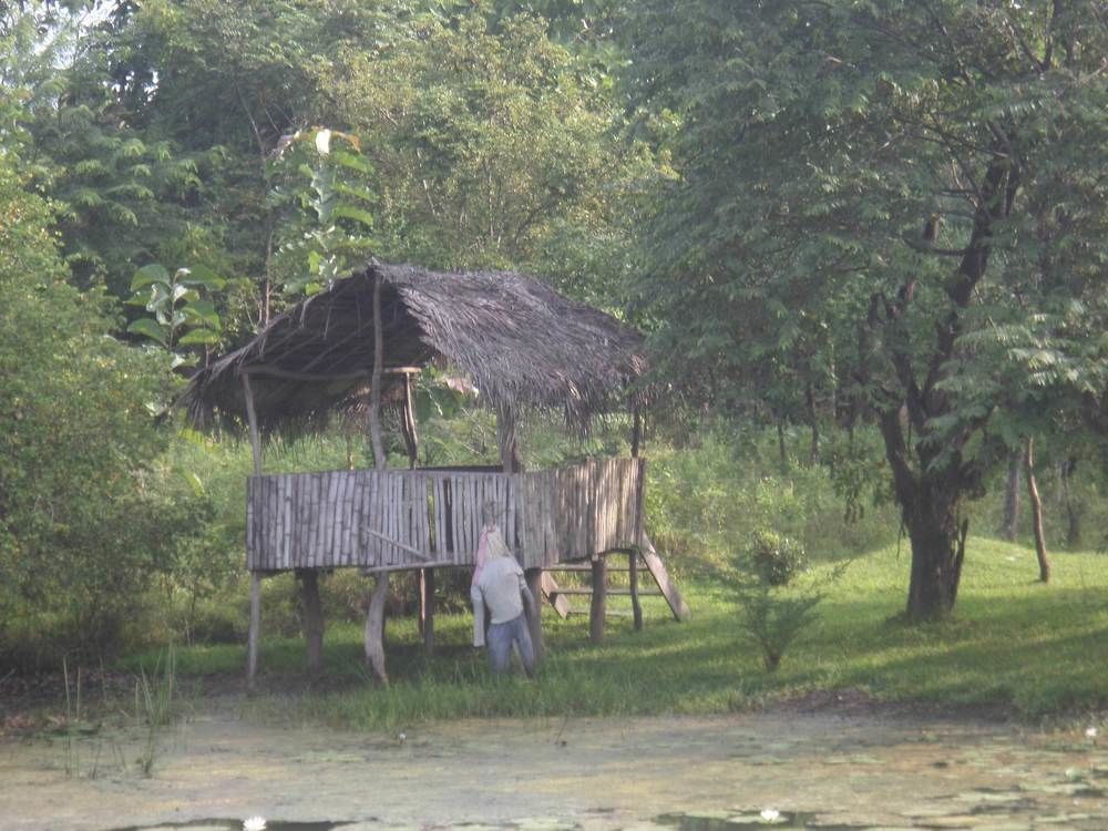 Clay Hut Village ポロンナルワ エクステリア 写真